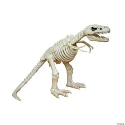 16 T-Rex Skeleton Decoration
