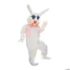 Adult's Peter Rabbit Mascot Costume