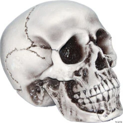 Beige Skull