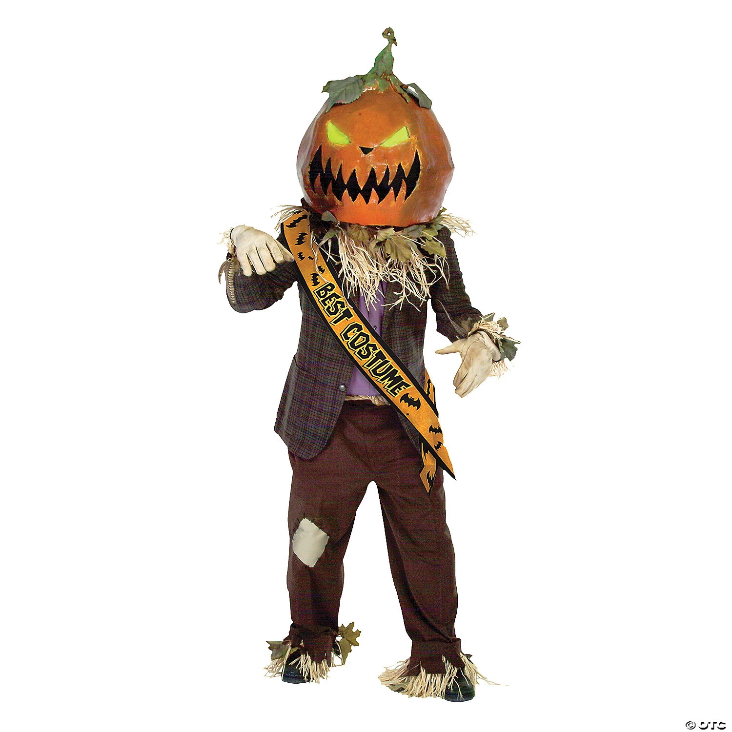 Best Costume Satin Sash 1 Best Costume Satin Sash