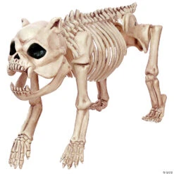 Bones The Dog Skeleton Decoration