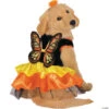 Butterfly Dog Costume