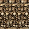 Catacombs Skull Plastic Backdrop