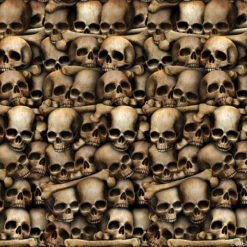 Catacombs Skull Plastic Backdrop