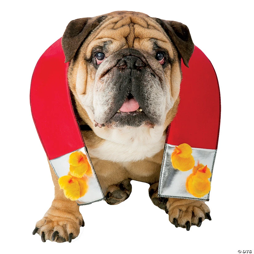 Chick Magnet Dog Costume 1 Chick Magnet Dog Costume