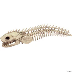 Eel Skeleton Decoration