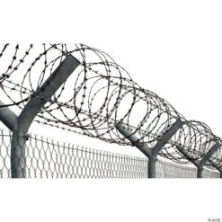Faux Razor Wire