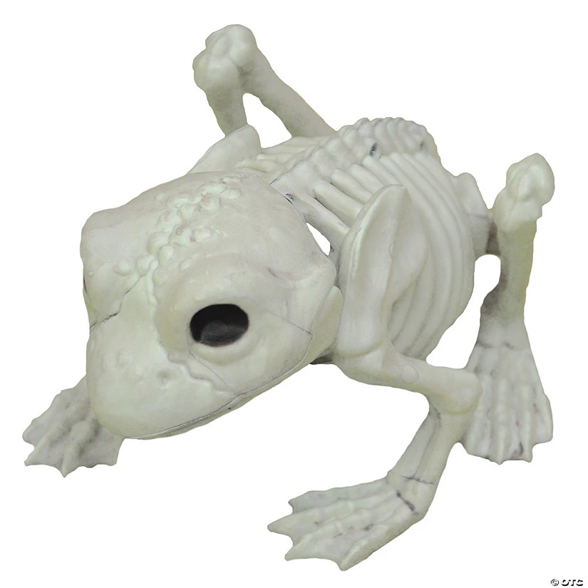 Frog Skeleton Decoration 1 Frog Skeleton Decoration
