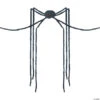Giant Long-Legs Spider