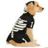 Glow-In-The-Dark Skeleton Dog Costume