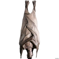 Hanging Vampire Prop