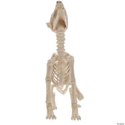 Howl At The Moon Wolf Skeleton Decoration -Halloween Costumes Sale howl at the moon wolf skeleton decorationsew80327 a03