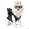 Pop Sensation Dog Costume