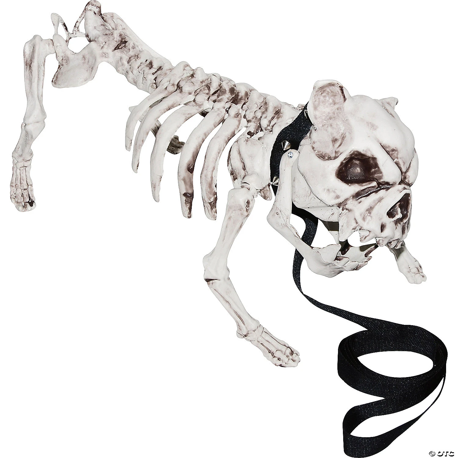 Skeleton Dog 1 Skeleton Dog