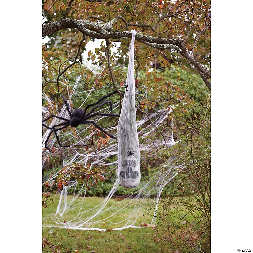 Skull In Spider Cocoon 1 Skull In Spider Cocoon