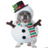 Snowman Dog Costume