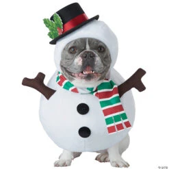 Snowman Dog Costume